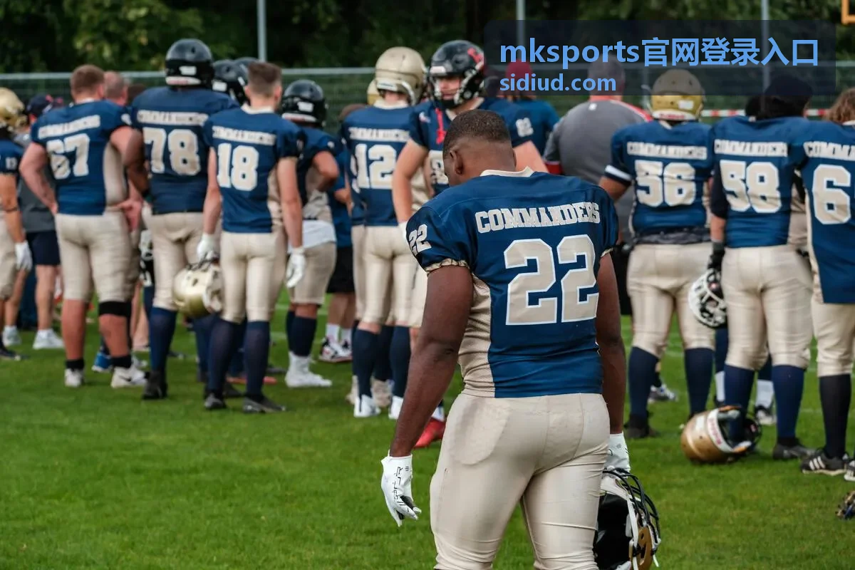 mksports官网登录入口 账号安全验证场景